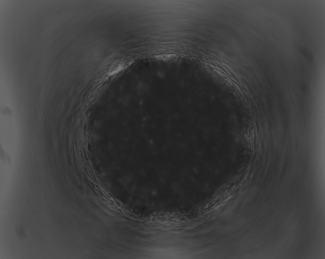 X0000090710817200708031431