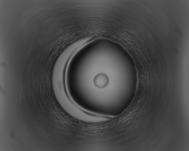 X0000090710818200708031431