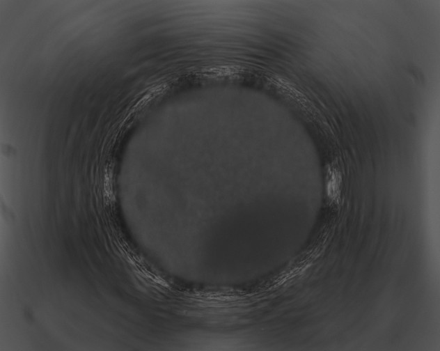 X0000090710819200708031431