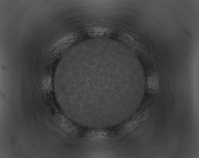 X0000090710820200708031431