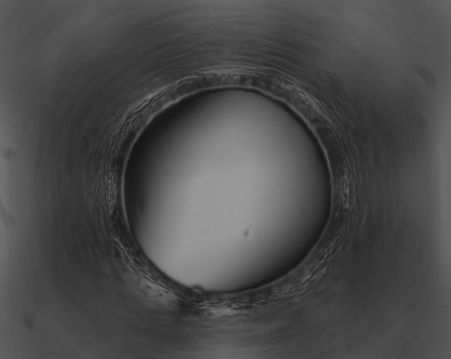 X0000090710821200708031431