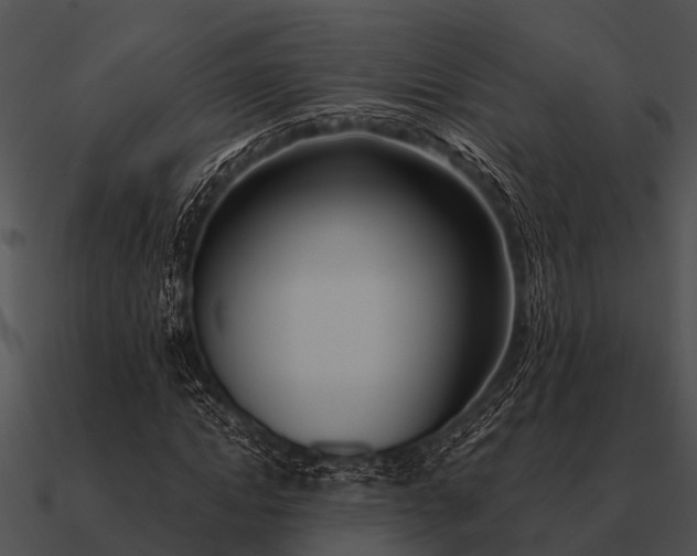 X0000090710822200708031431