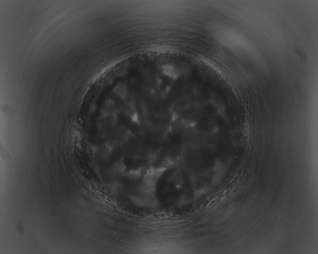 X0000090710823200708031431