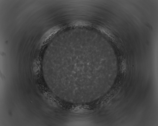 X0000090710824200708031431