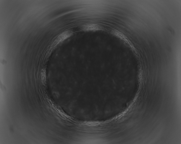 X0000090710825200708031431