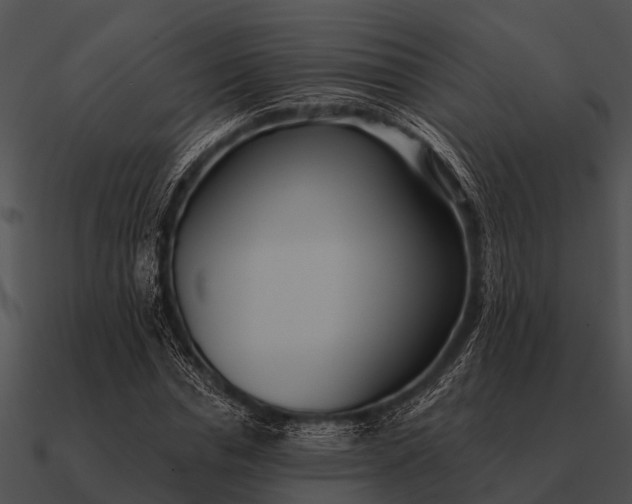 X0000090710826200708031431