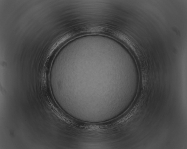 X0000090710827200708031431