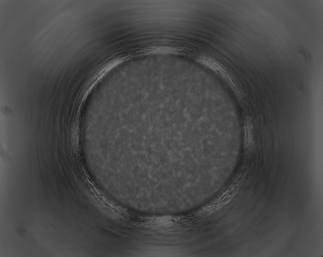 X0000090710828200708031431