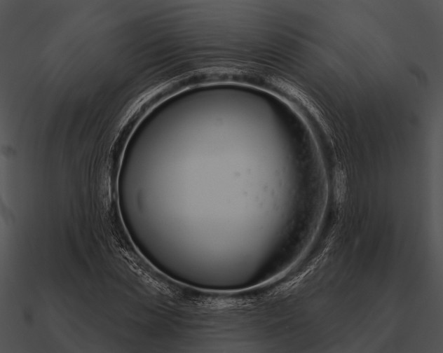 X0000090710829200708031431