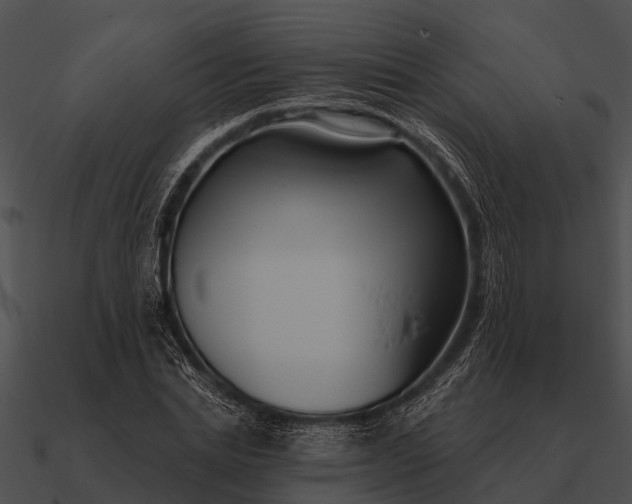 X0000090710830200708031431