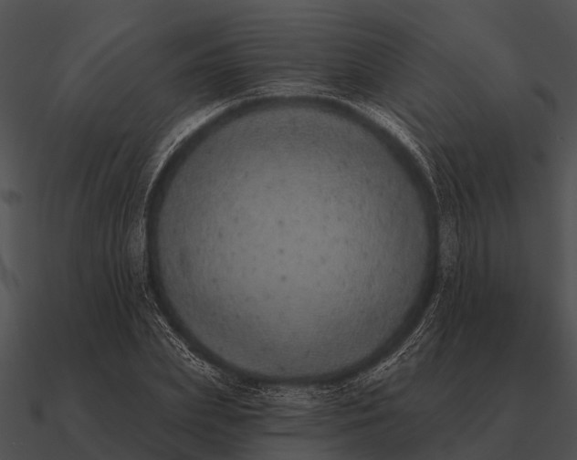 X0000090710831200708031431