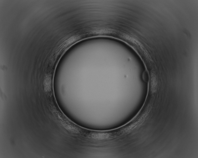 X0000090710833200708031431