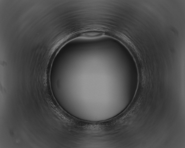 X0000090710834200708031431