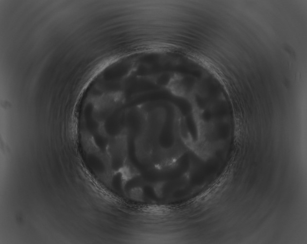 X0000090710835200708031431