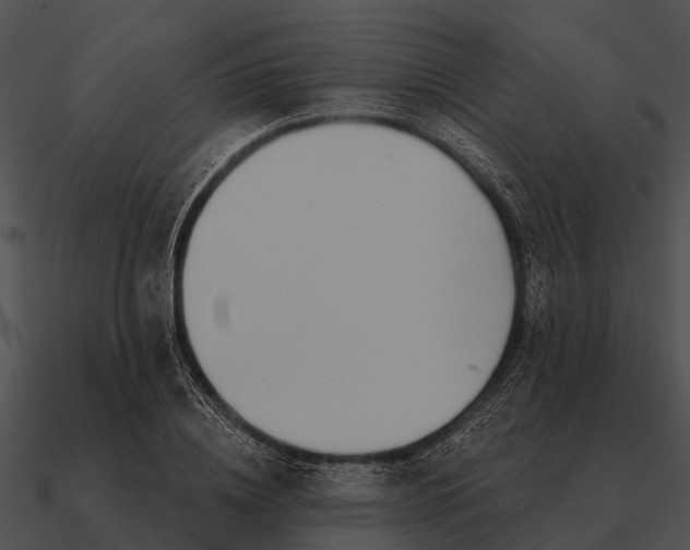 X0000090710836200708031431