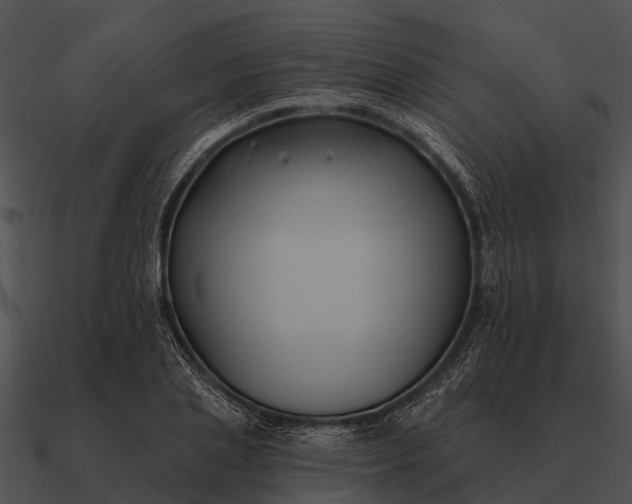 X0000090710837200708031431