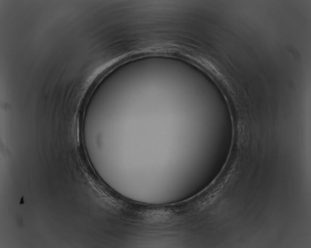 X0000090710838200708031431