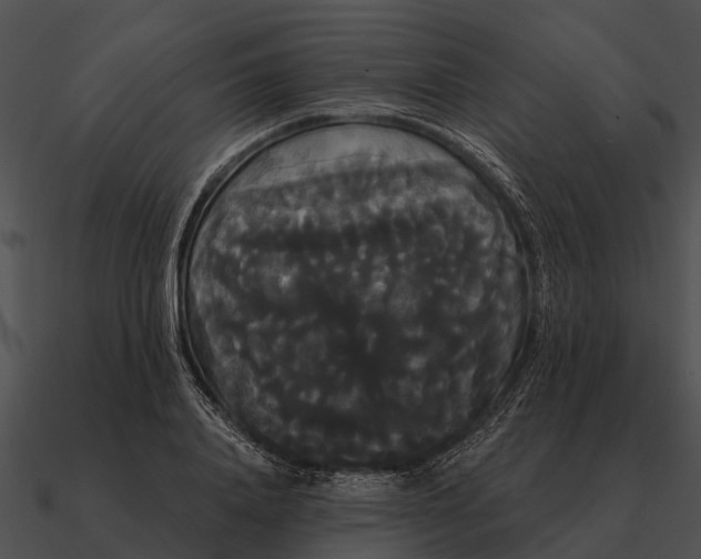 X0000090710840200708031431