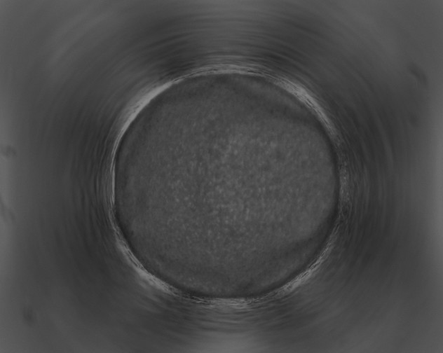 X0000090710844200708031431