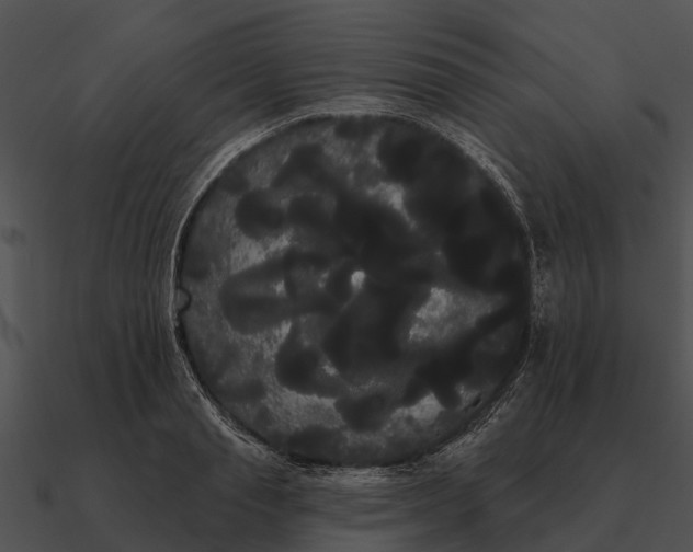 X0000090710845200708031431