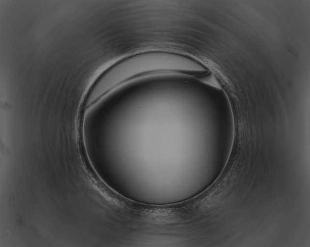 X0000090710846200708031431