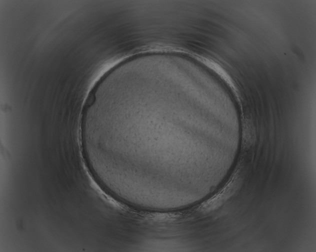 X0000090710847200708031431