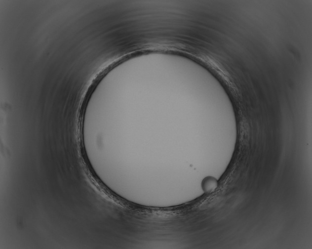 X0000090710848200708031431