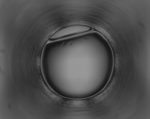 X0000090710849200708031431