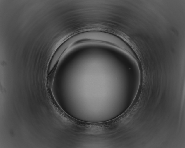 X0000090710850200708031431