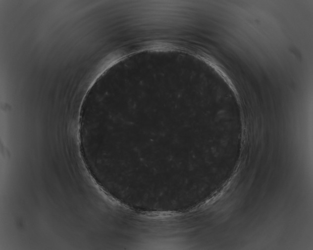 X0000090710853200708031432