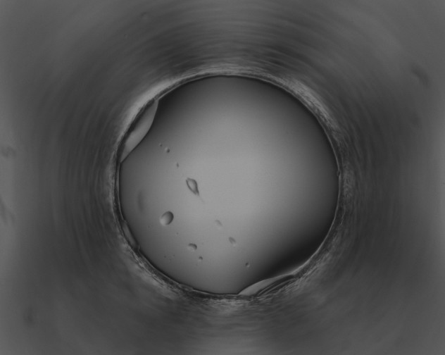 X0000090710854200708031432