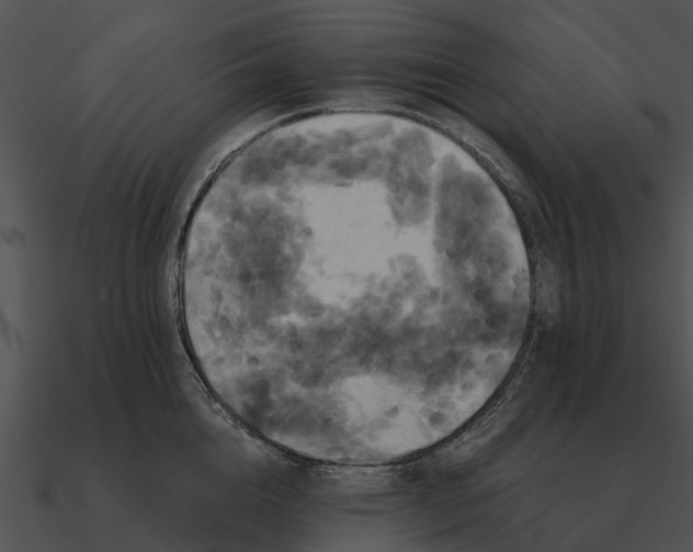 X0000090710856200708031432