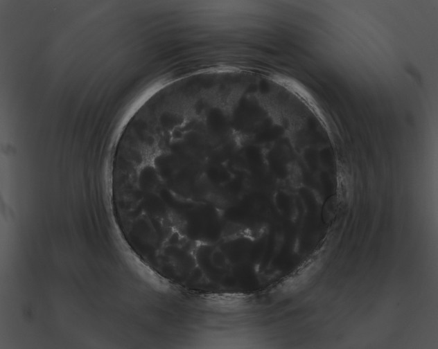 X0000090710859200708031432