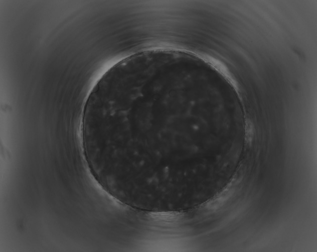 X0000090710863200708031432