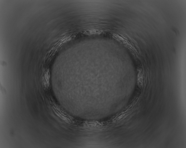 X0000090710866200708031431