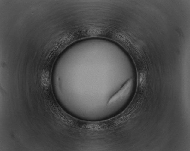 X0000090710867200708031431