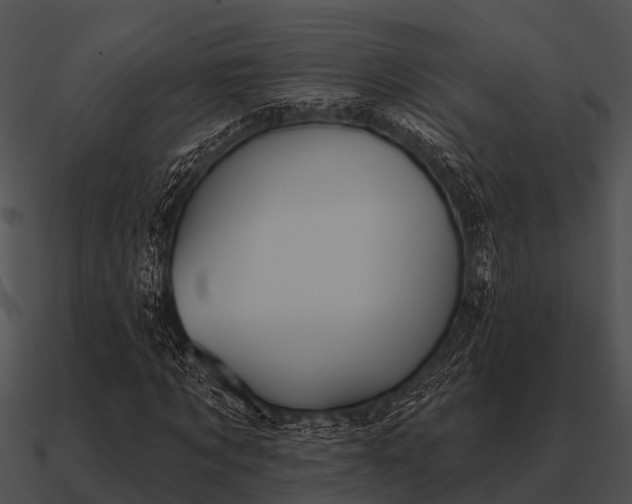 X0000090710869200708031431