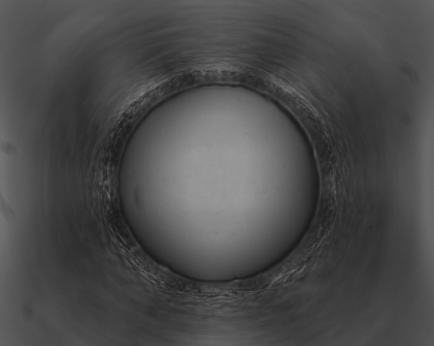 X0000090710870200708031431