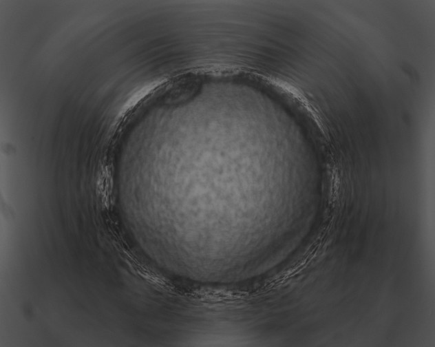 X0000090710871200708031431