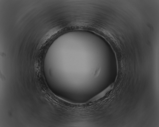 X0000090710872200708031431