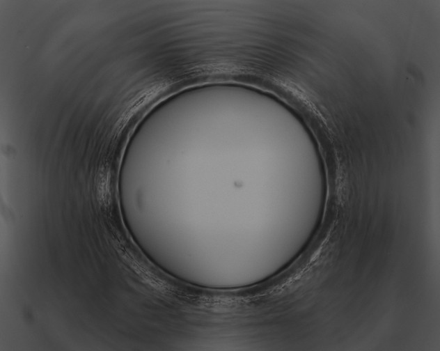 X0000090710873200708031431