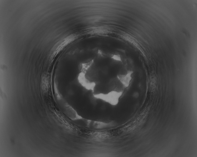 X0000090710874200708031431