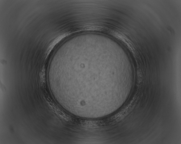 X0000090710875200708031431