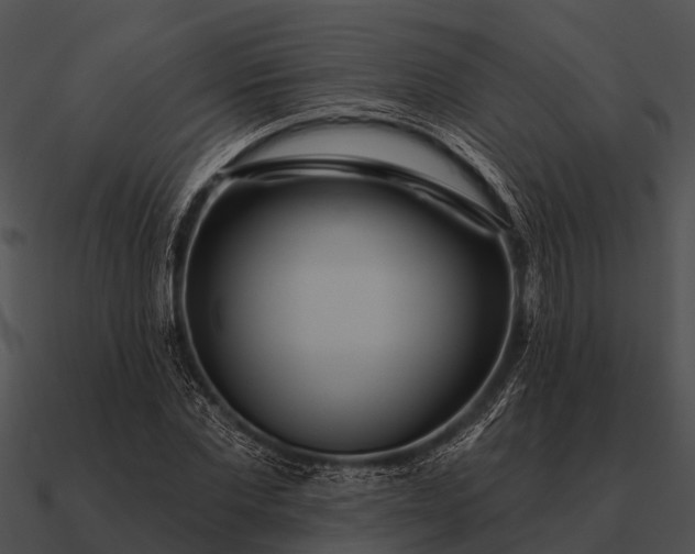 X0000090710877200708031431