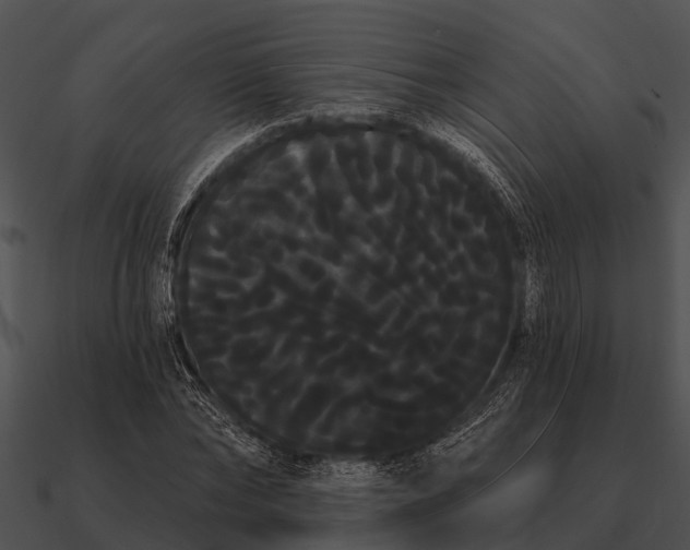 X0000090710878200708031431