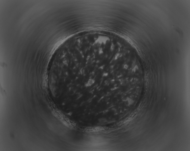 X0000090710879200708031431