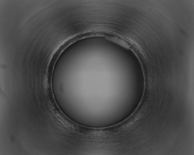 X0000090710880200708031431