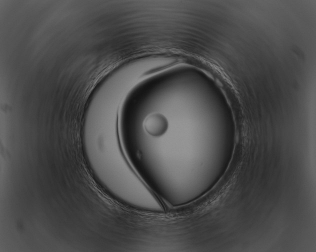 X0000090710881200708031431