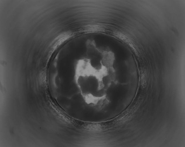 X0000090710882200708031431