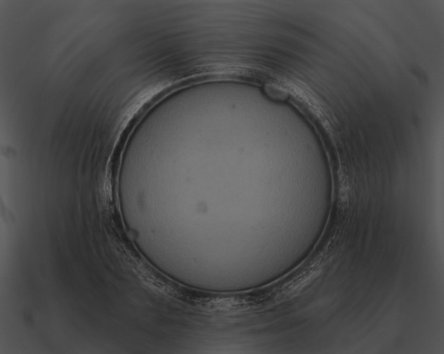 X0000090710883200708031431